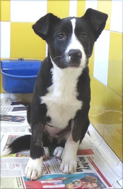 multimedia-foto44898-169-3