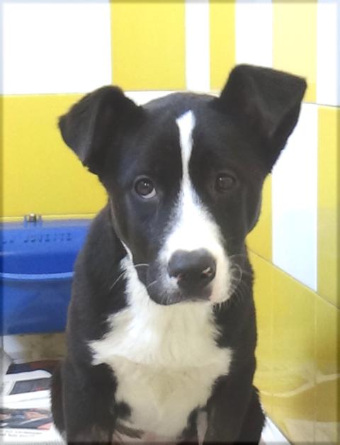 multimedia-foto44899-170-3