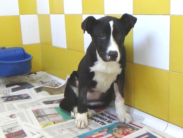 multimedia-foto44900-170-3