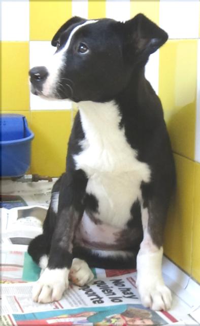 multimedia-foto44901-171-3