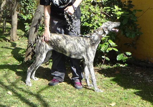 multimedia-foto44916-68-3