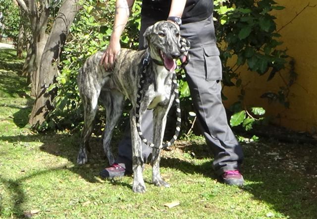 multimedia-foto44917-68-3