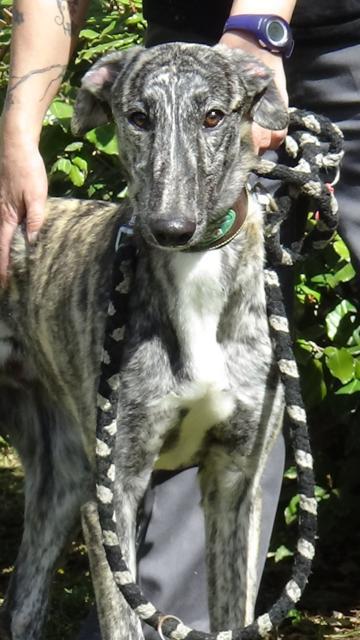 multimedia-foto44918-69-3