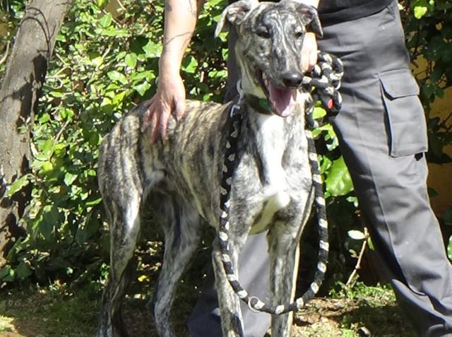 multimedia-foto44919-69-3