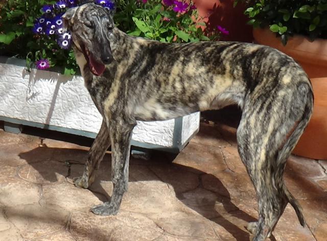 multimedia-foto44921-94-3