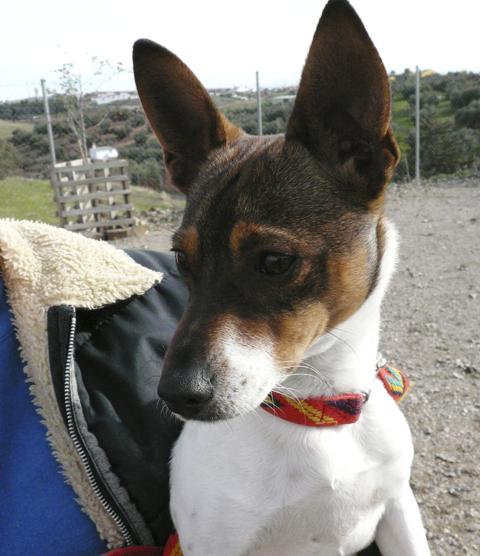 multimedia-foto44929-788-3