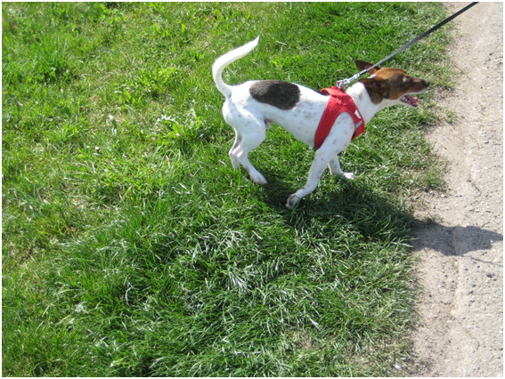 multimedia-foto44930-788-3