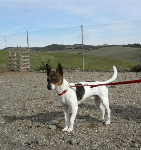 multimedia-foto44931-789-3