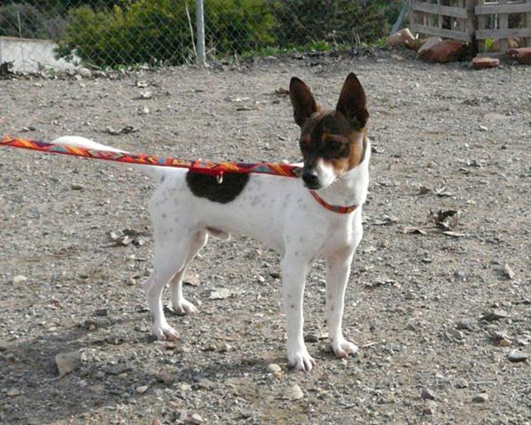 multimedia-foto44932-789-3