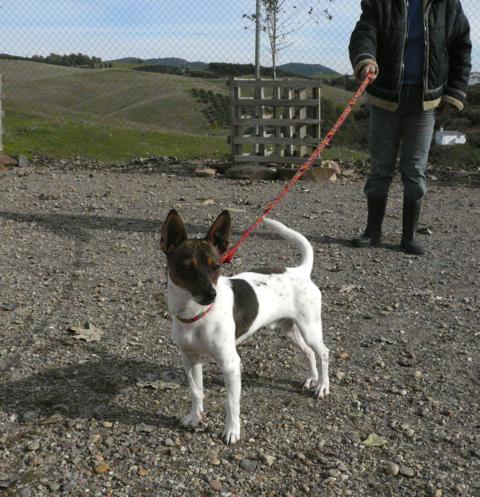 multimedia-foto44933-799-3