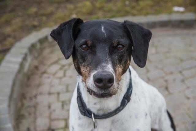 multimedia-foto44976-506-3