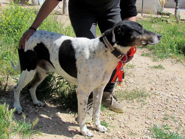 multimedia-foto44977-506-3