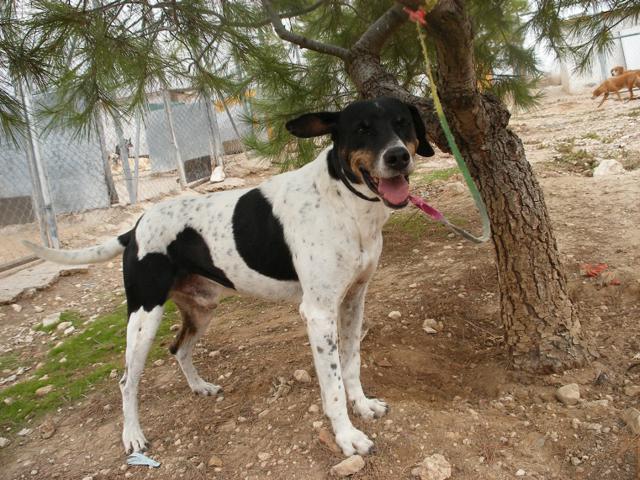 multimedia-foto44979-507-3