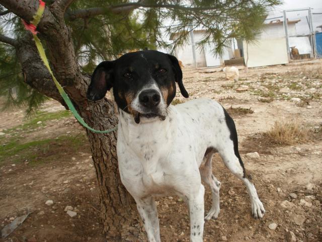 multimedia-foto44980-523-3