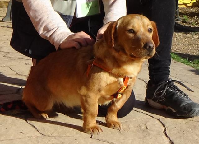 multimedia-foto44987-18-3