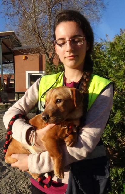 multimedia-foto44988-18-3