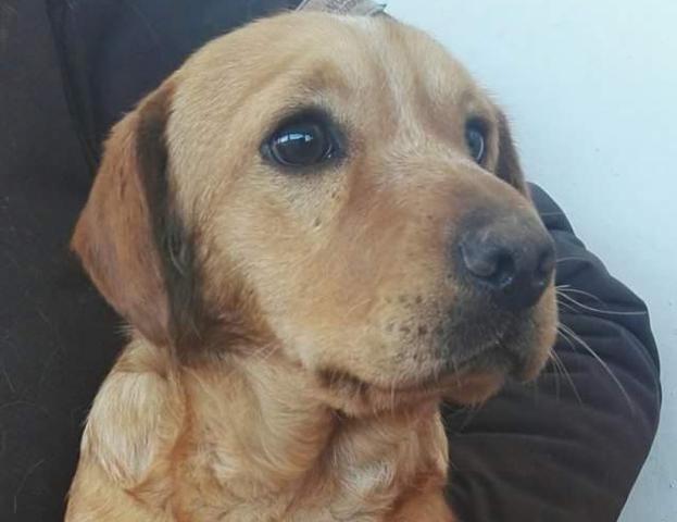 multimedia-foto44989-19-3