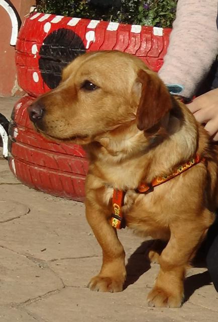 multimedia-foto44990-19-3