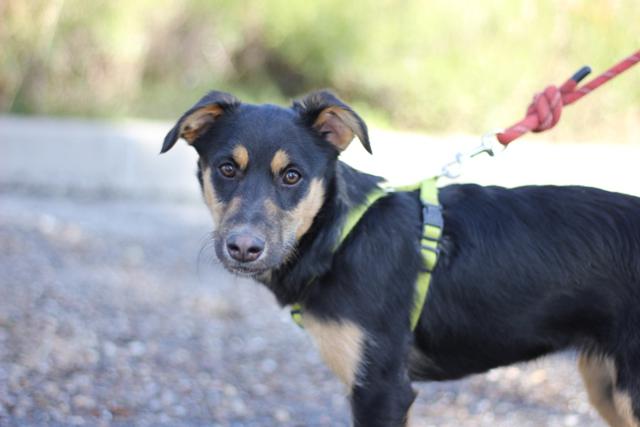 multimedia-foto44991-500-3