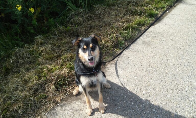 multimedia-foto44992-500-3