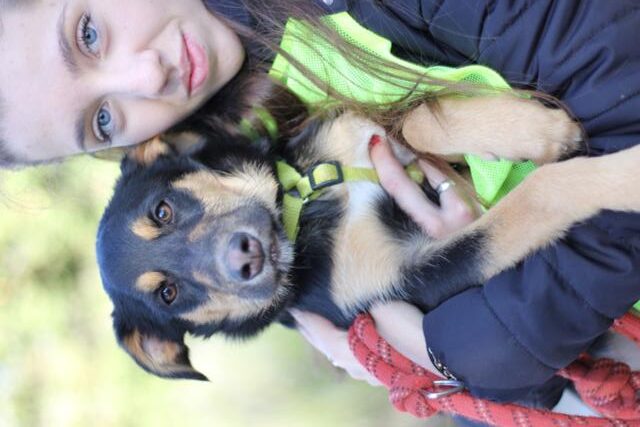 multimedia-foto44993-501-3