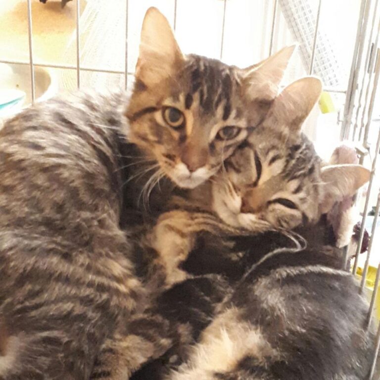 multimedia-foto45020-200-3