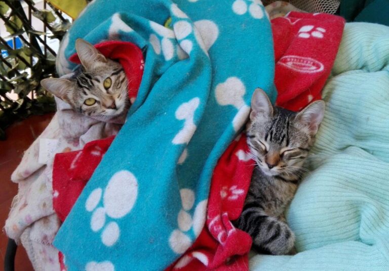 multimedia-foto45021-200-3