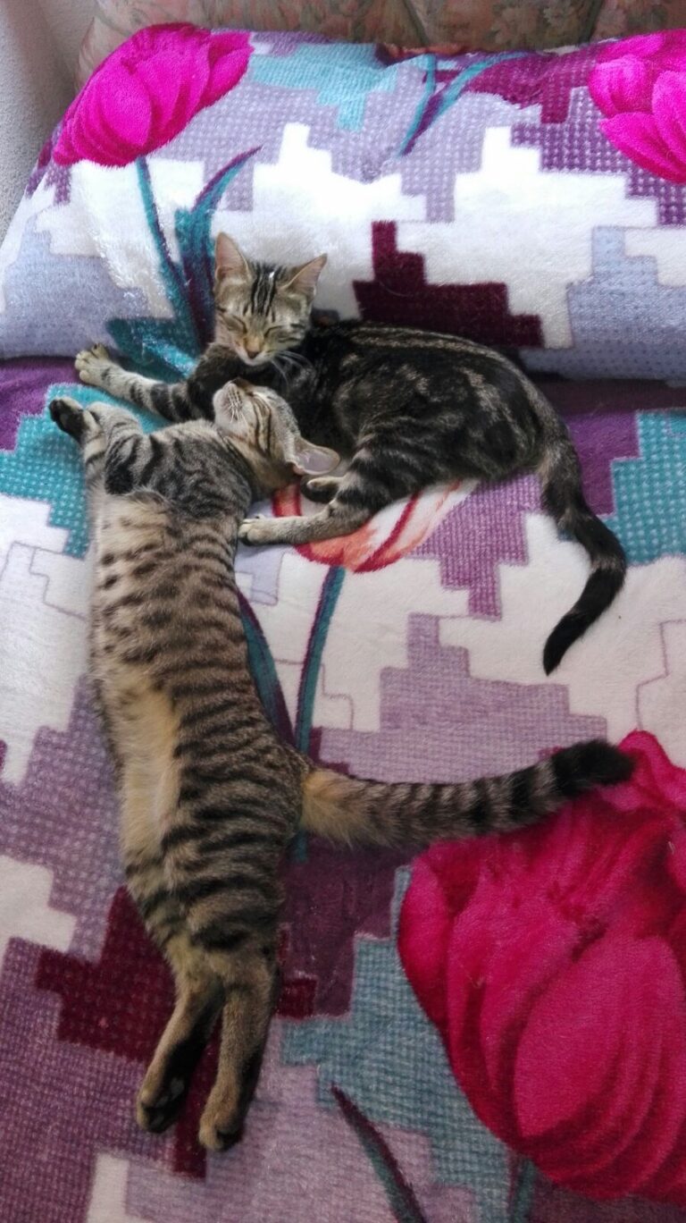 multimedia-foto45022-201-3