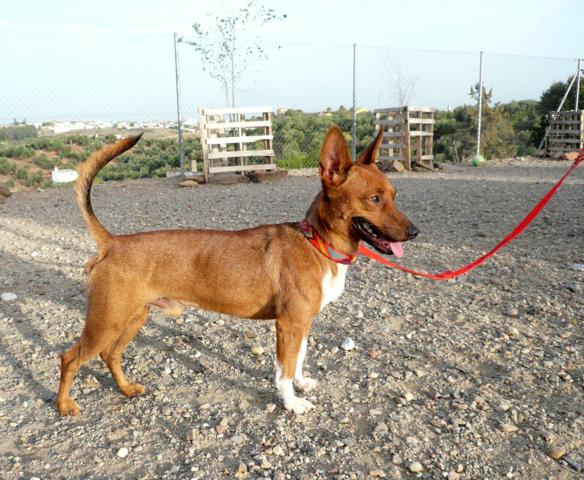 multimedia-foto45024-92-3