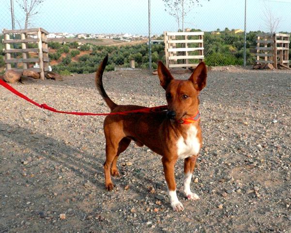 multimedia-foto45025-93-3