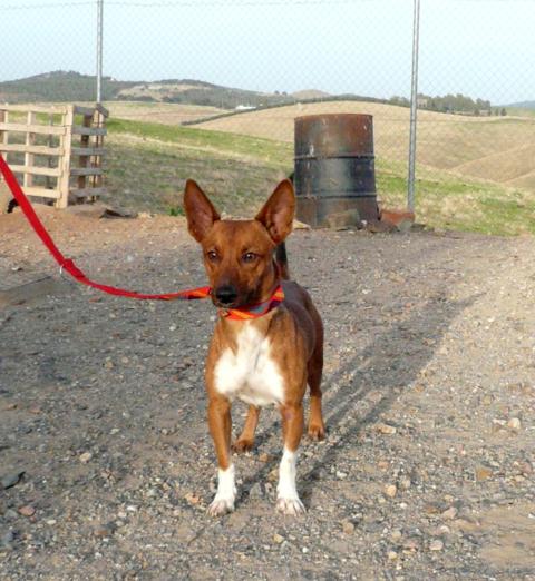 multimedia-foto45026-93-3