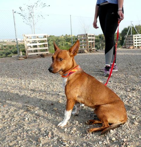 multimedia-foto45027-93-3