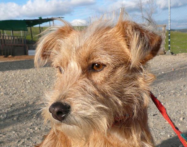 multimedia-foto45039-933-3