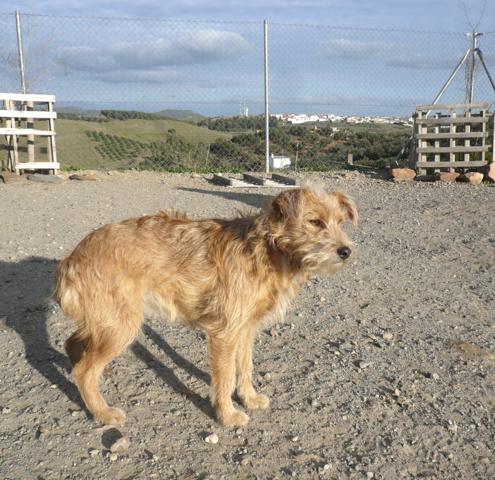 multimedia-foto45040-934-3