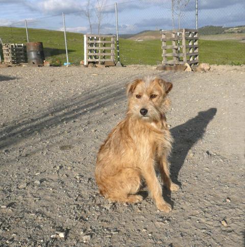 multimedia-foto45041-934-3