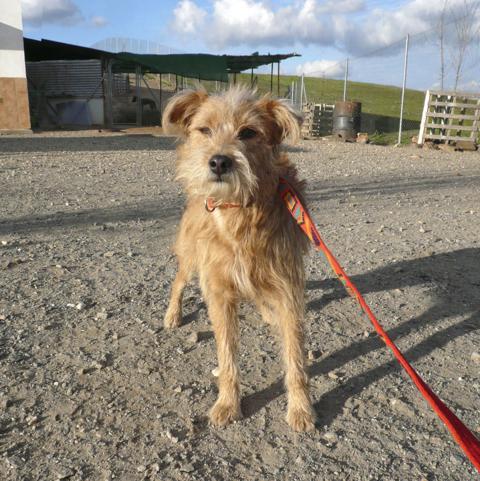 multimedia-foto45042-934-3