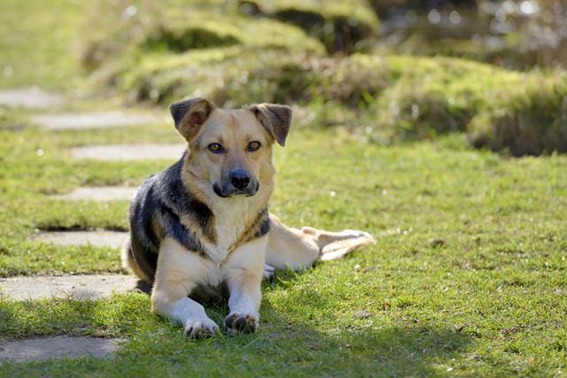 multimedia-foto45059-532-3