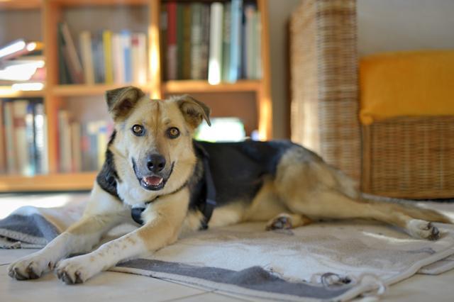 multimedia-foto45061-533-3