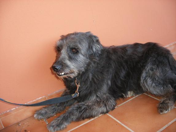 multimedia-foto45062-769-3