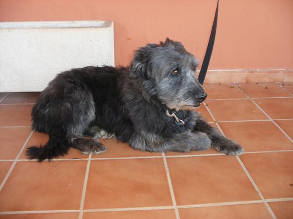 multimedia-foto45063-769-3