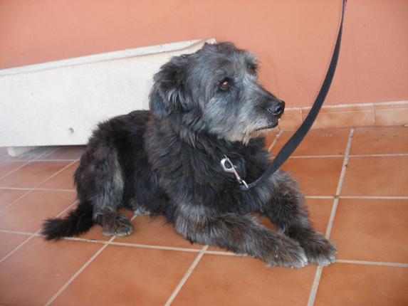 multimedia-foto45064-770-3