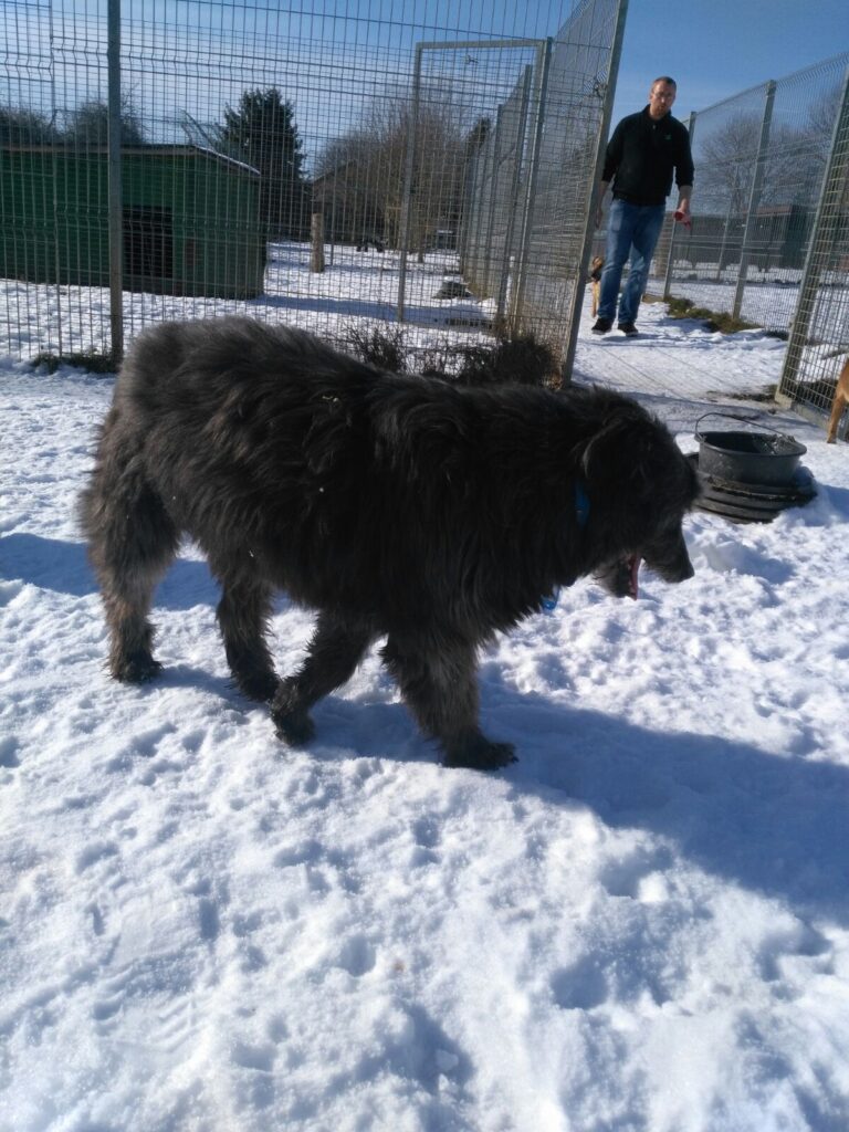 multimedia-foto45065-770-3