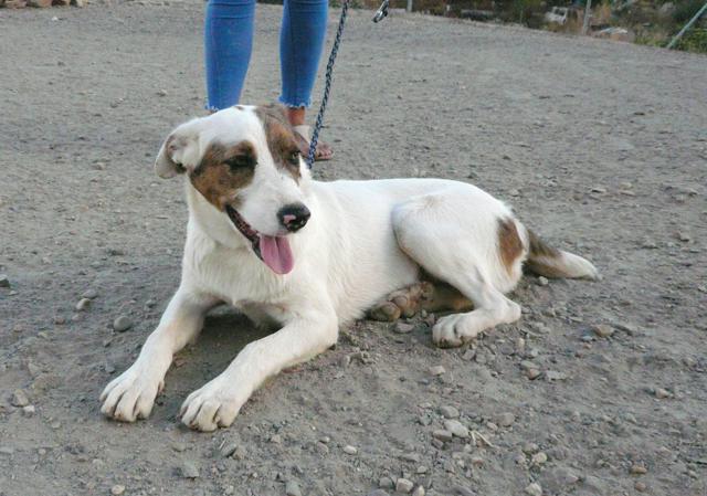 multimedia-foto45070-190-3