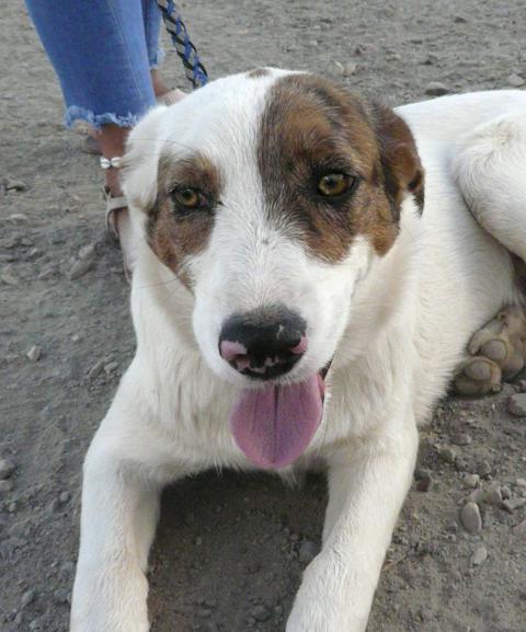 multimedia-foto45072-191-3