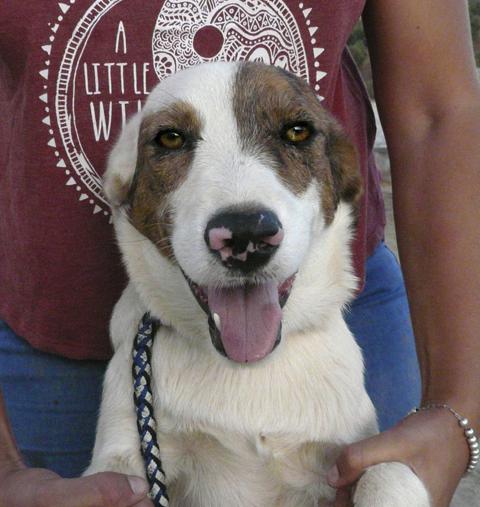 multimedia-foto45073-191-3