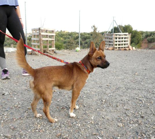 multimedia-foto45074-496-3