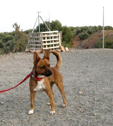 multimedia-foto45076-497-3