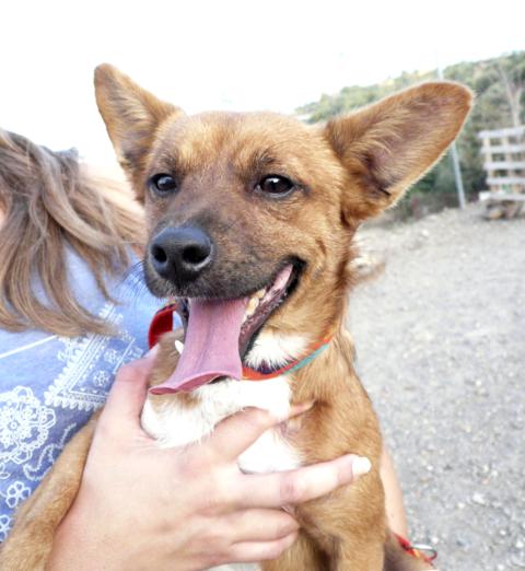 multimedia-foto45077-497-3