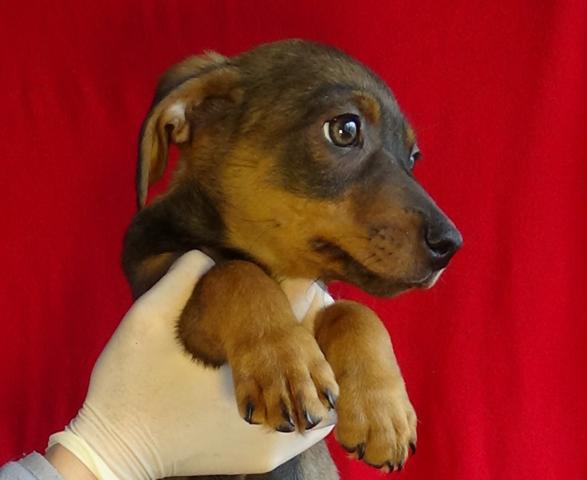 multimedia-foto45106-822-3