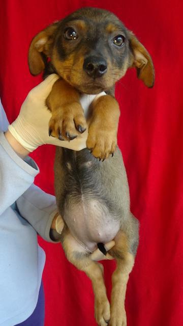 multimedia-foto45108-823-3